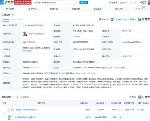 巨人網絡成立新公司，深化布局互聯網游戲與信息服務業務